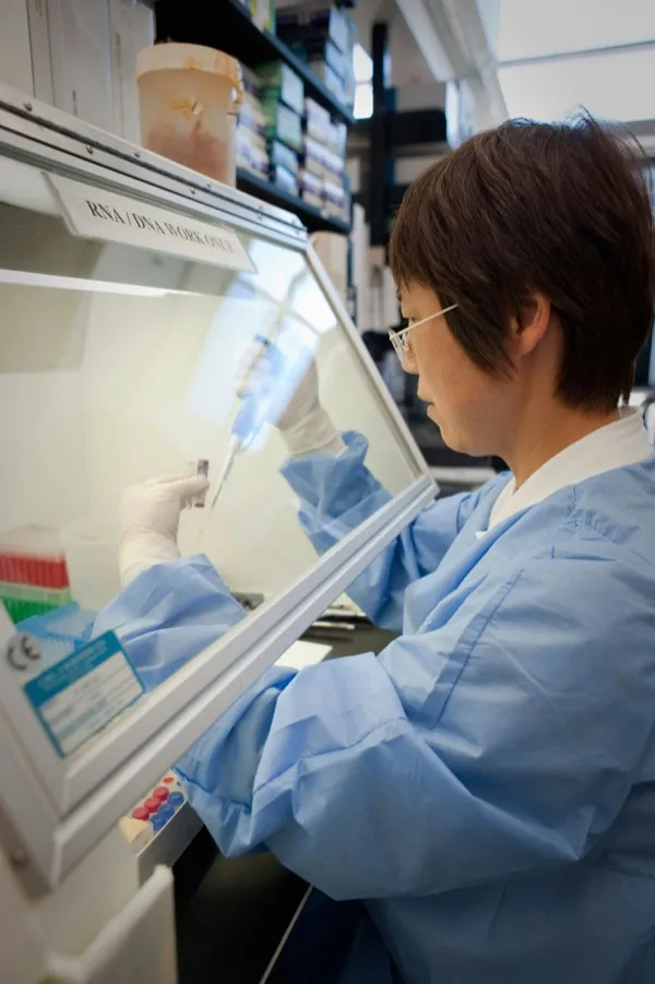 Scientist at biosafety cabinet